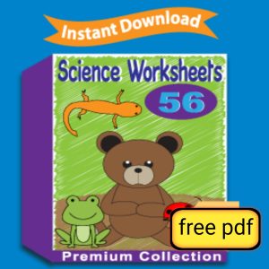 Science Worksheets