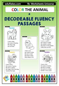 DECODABLE FLUENCY PASSAGES