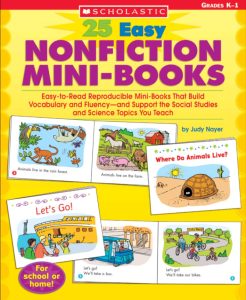 NON FICTION MINI BOOKS